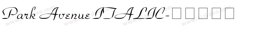 Park Avenue ITALIC字体转换